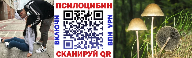 Галлюциногенные грибы мухоморы  Болотное 