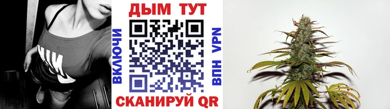 Каннабис OG Kush  Болотное 